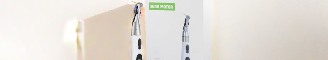 Endo Motor